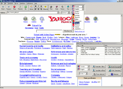 Web Translator v8.0