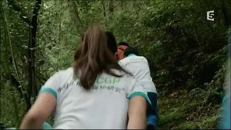 (Fr5) La vallée des pandas (2015)