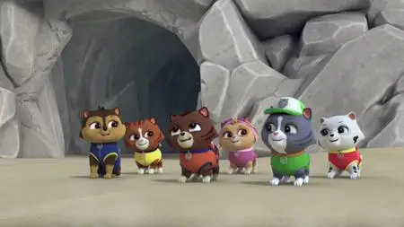 Paw Patrol Helfer auf vier Pfoten S06E26