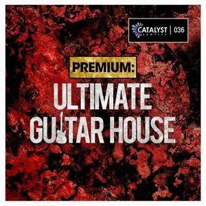 Catalyst Premium Ultimate Guitar House WAV MiDi