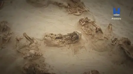 Peru: Sacrifices In The Kingdom Of Chimor (2022)