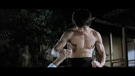 Bruce Lee Ultimate Fully Re-Mastered DVD Collection (1971-1981)