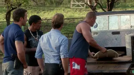 Hawaii Five-0 S03E19