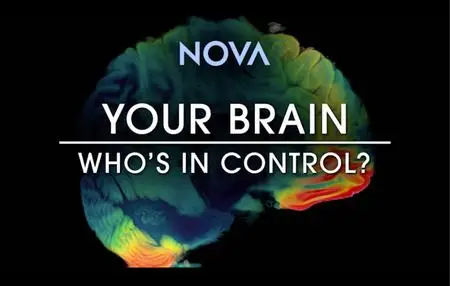 PBS NOVA - Your Brain: Who's in Control? (2023)