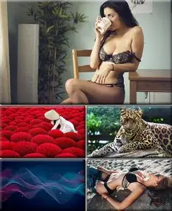 Computer Desktop Wallpapers Collection. Part (2229)