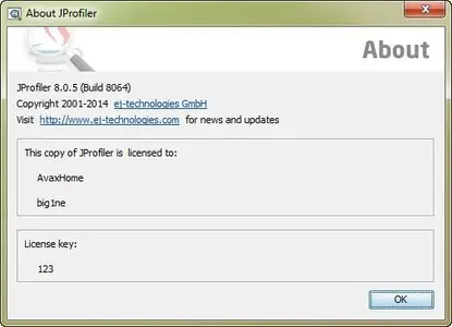 JProfiler 8.0.5 Build 8064 (x86/x64)