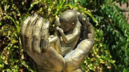 The Magical Course Of Womb Healing - Advanced 4