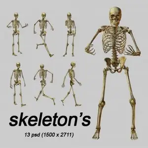 Skeleton's PSD