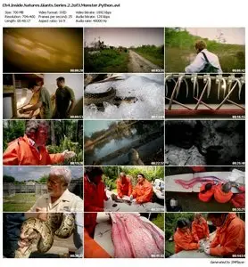 Channel 4 – Inside Natures Giants (Series 2) 