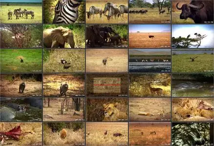 Serengeti: Nature's Greatest Journey (2015)