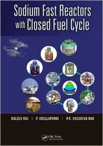 Sodium Fast Reactors with Closed Fuel Cycle