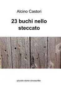 23 buchi nello steccato