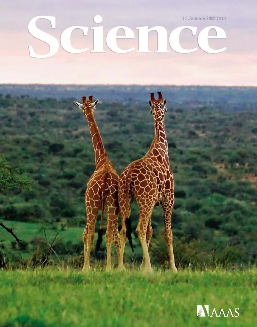 Science January 11 2008