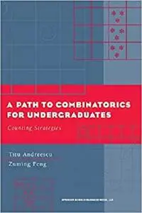 A Path to Combinatorics for Undergraduates: Counting Strategies