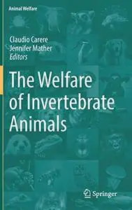 The Welfare of Invertebrate Animals (Repost)