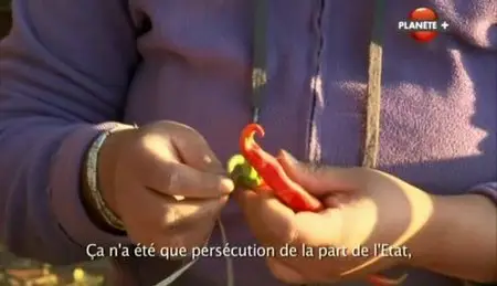 (Planète) Par la raison ou par la force (2012)