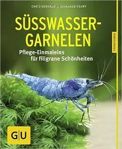 Süßwasser-Garnelen: Pflege-Einmaleins für filigrane Schönheiten