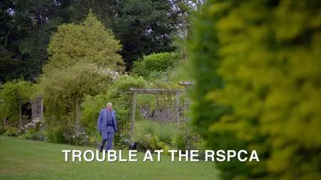 BBC - Panorama: Trouble at the RSPCA (2017)
