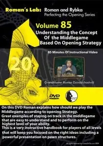 Roman's Lab Vol. 85 - Understanding The Concept Of the Middlegame Based on Opening Strategy