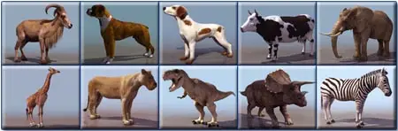 3D Models - Animals