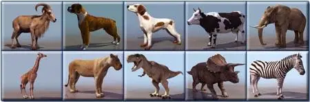 3D Models - Animals