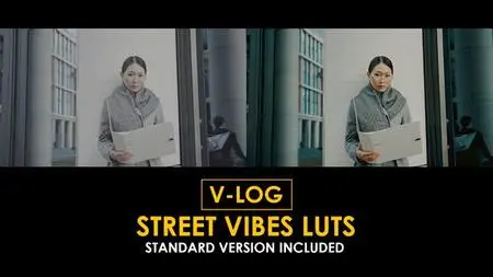V-Log Street Vibes and Standard LUTs 51434079