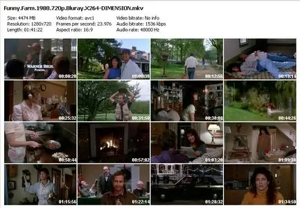 Funny Farm (1988)