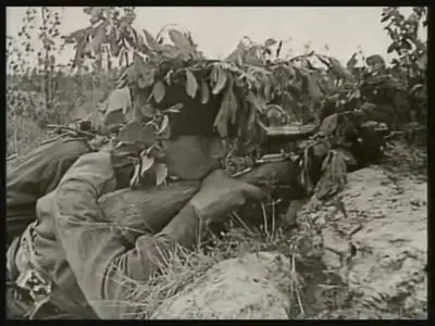 Spezialeinheiten im 2 Weltkrieg Scharfschtzen - Bedrohung aus dem Hinterhalt