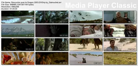 Rencontre avec le Dragon (2003)