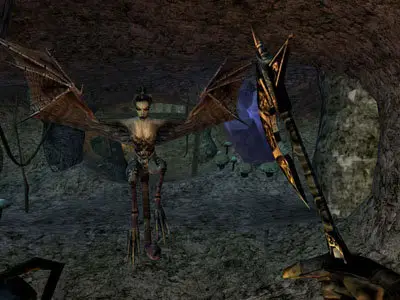 The Elder Scrolls III: Morrowind GOTY Pack + Bonus Content - DVD Edition