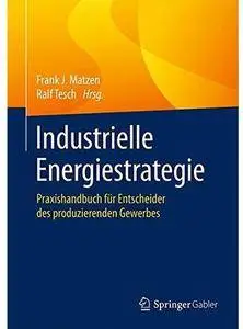 Industrielle Energiestrategie: Praxishandbuch für Entscheider des produzierenden Gewerbes [Repost]