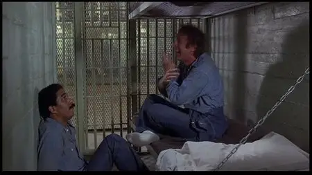 Stir Crazy (1980)