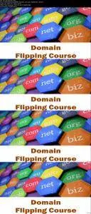 How to start a Business with Domain Flipping Names