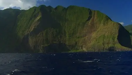 Wild Hawaii (2013)