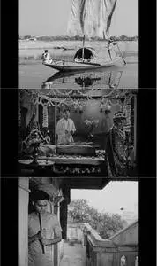 The World of Apu (1959) Apur Sansar [The Criterion Collection]