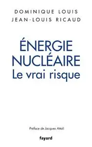 Dominique Louis, Jean-Louis Ricaud, "Énergie nucléaire : le vrai risque"