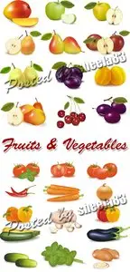 Fruits & Vegetables Vector