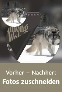 Vorher – Nachher: Fotos zuschneiden So viel Bild braucht Ihre Aussage