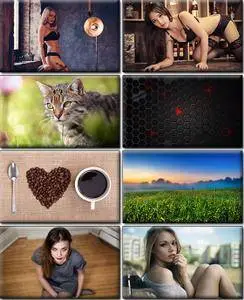 LIFEstyle News MiXture Images. Wallpapers Part (1306)