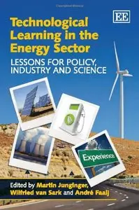 Technological Learning in the Energy Sector: Lessons for Policy, Industry and Science
