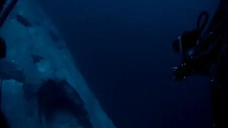 Deep Ocean: The Lost World of the Pacific (2015)