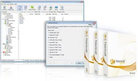 PremiumSoft Navicat Premium Enterprise Edition v8.2.19