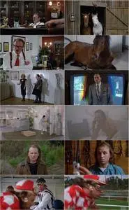 Hot to Trot (1988)