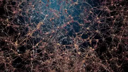 Human: The World Within S01E01