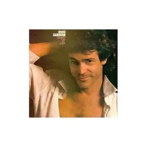 David Sanborn - Straight To The Heart