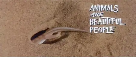 Animals Are Beautiful People (1974)