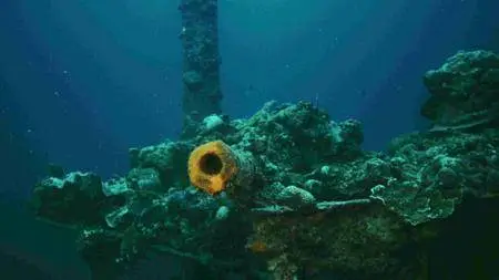 The Last Reef (2012)