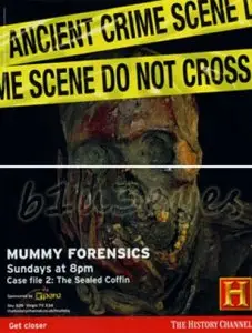 History Channel Mummy Forensics The Pierced Skull
