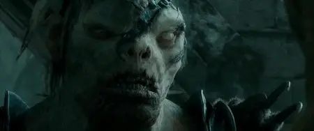 The Hobbit: The Desolation of Smaug - Extended (2013)