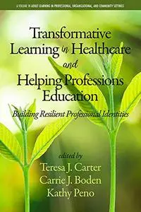 Transformative Learning in Healthcare and Helping Professions Education: Building Resilient Professional Identities
